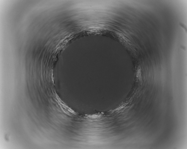 X0000100890868200807011154