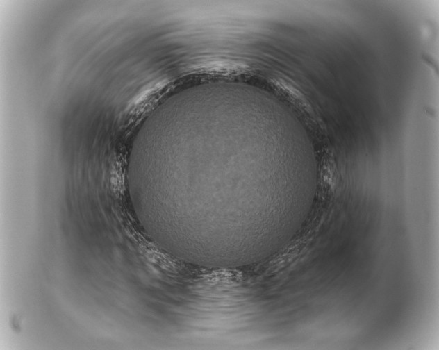 X0000100890869200807011154