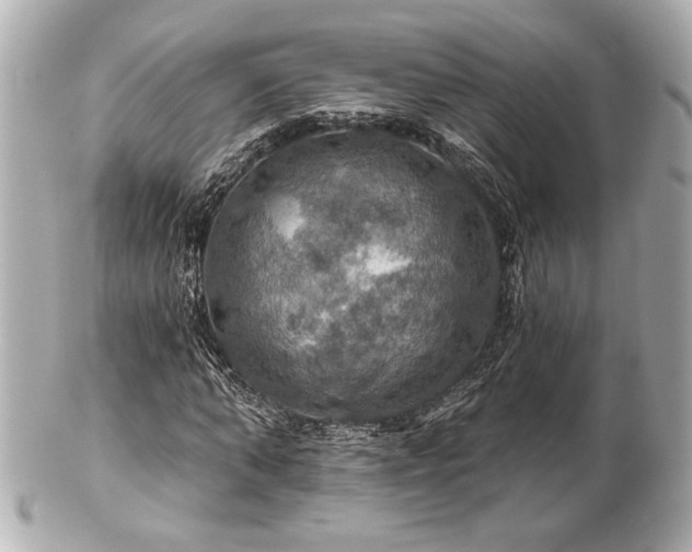 X0000100890870200807011154