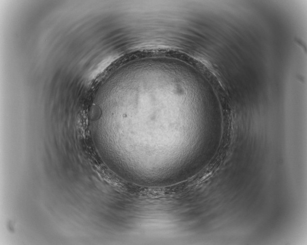 X0000100890871200807011154