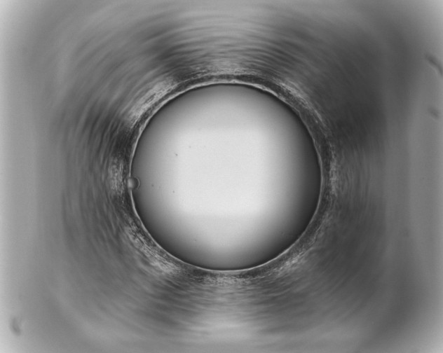 X0000100890873200807011154