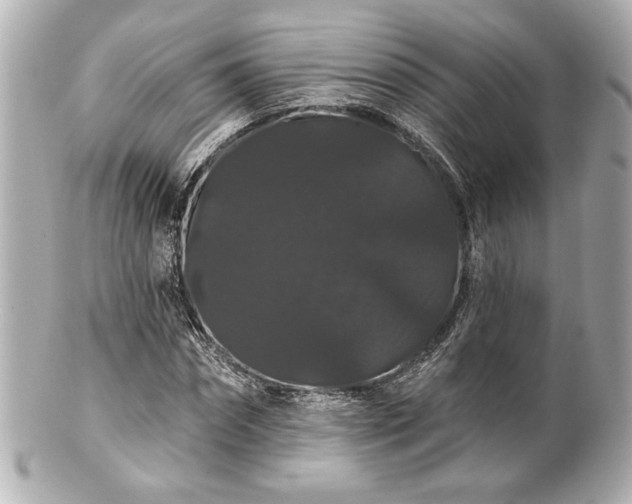 X0000100890874200807011154