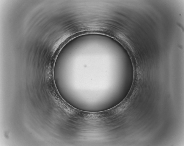 X0000100890875200807011154