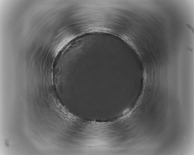 X0000100890877200807011154
