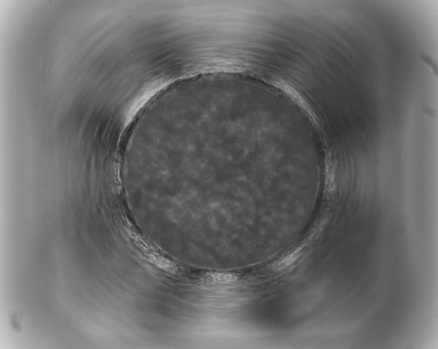 X0000100890878200807011154