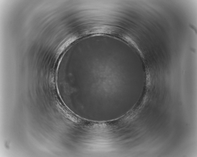 X0000100890882200807011154
