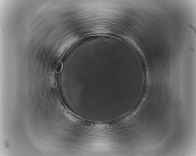 X0000100890889200807011154