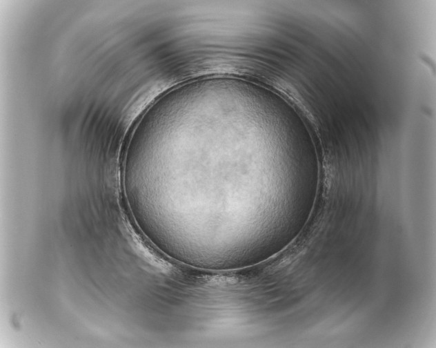 X0000100890890200807011154