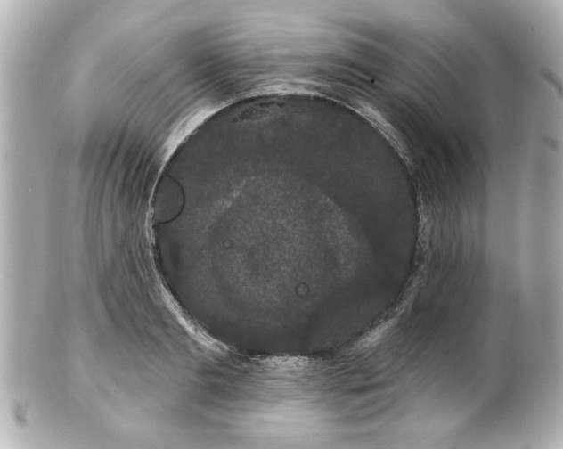X0000100890893200807011154