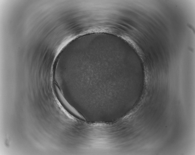 X0000100890894200807011154