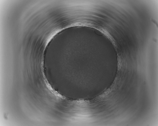 X0000100890896200807011154