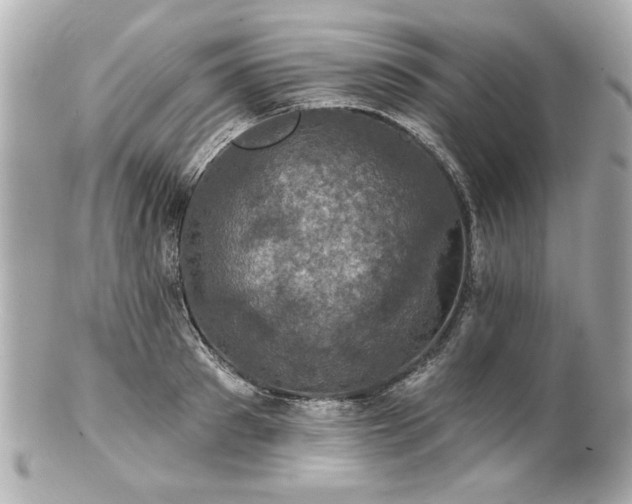 X0000100890897200807011154