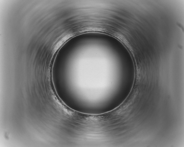 X0000100890898200807011154
