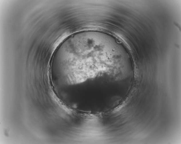 X0000100890899200807011154