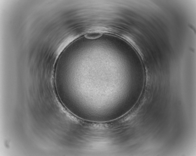 X0000100890901200807011154