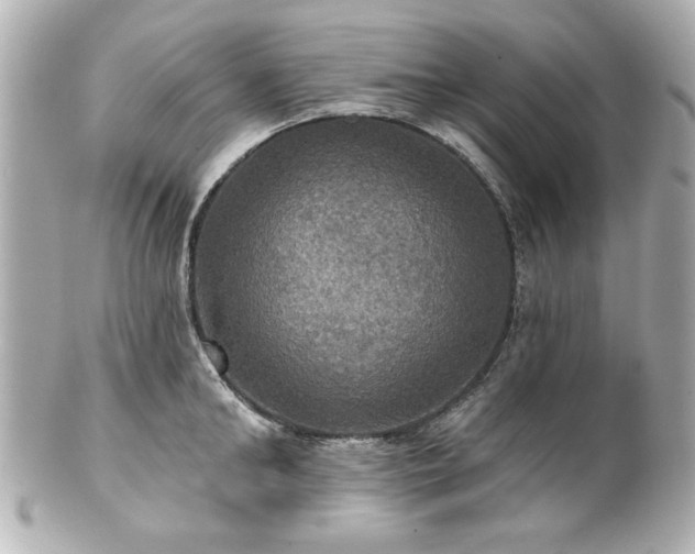 X0000100890902200807011154