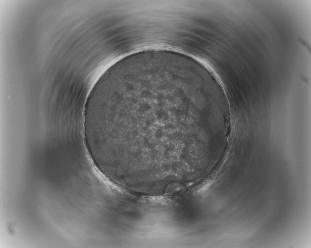 X0000100890903200807011154