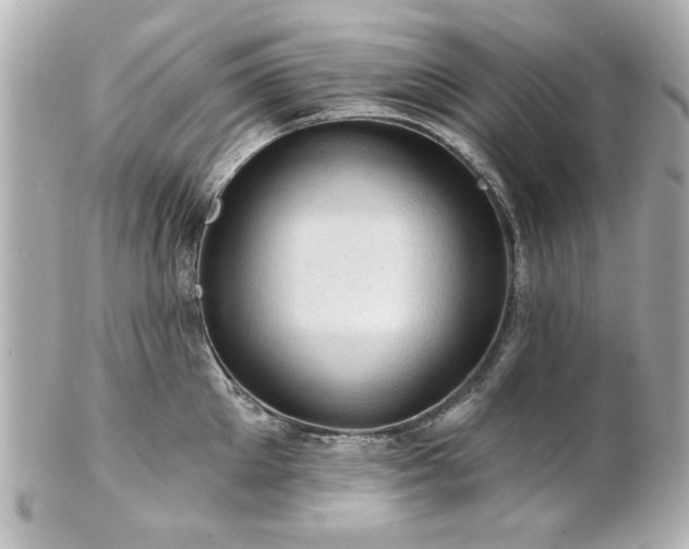 X0000100890905200807011154