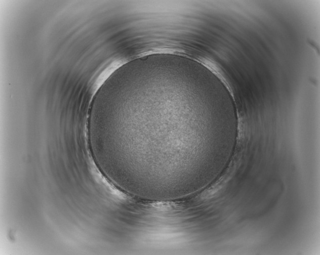 X0000100890906200807011154