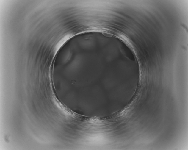 X0000100890907200807011154