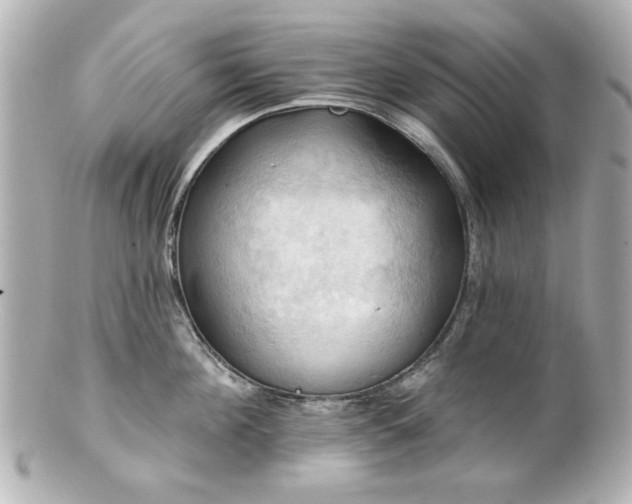 X0000100890908200807011154