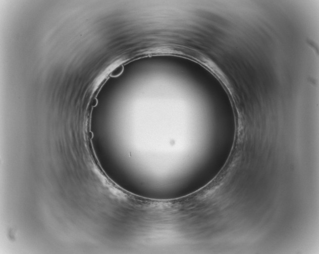 X0000100890909200807011154