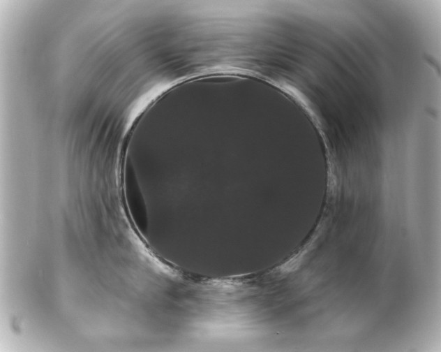 X0000100890910200807011154