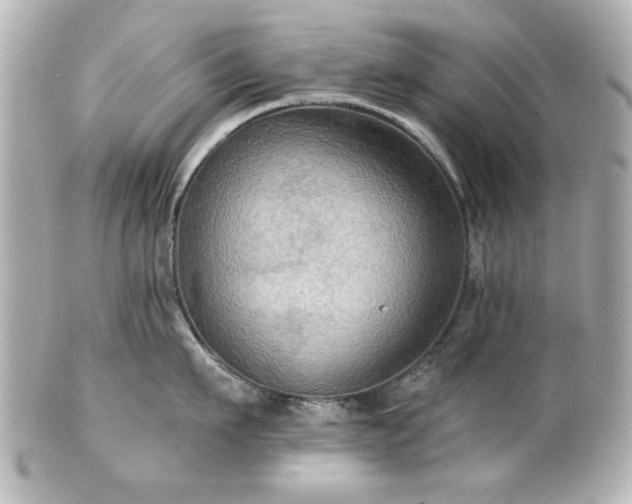 X0000100890911200807011154