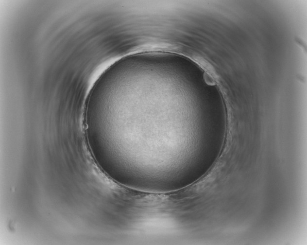 X0000100890912200807011154