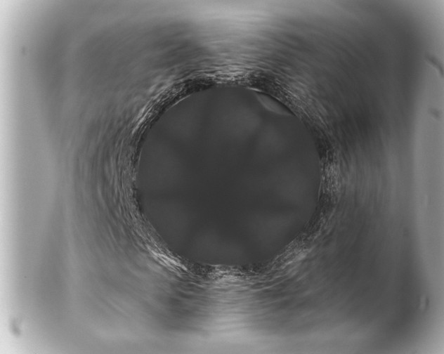X0000100890913200807011153
