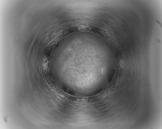 X0000100890914200807011153