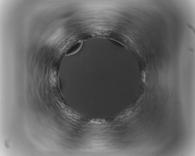 X0000100890915200807011153