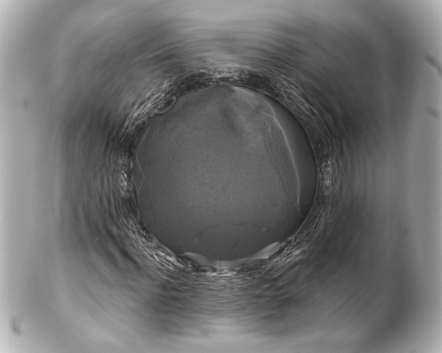 X0000100890916200807011153