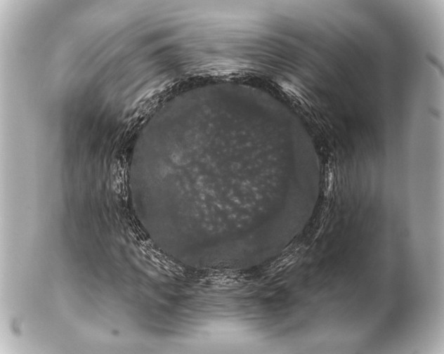 X0000100890917200807011153