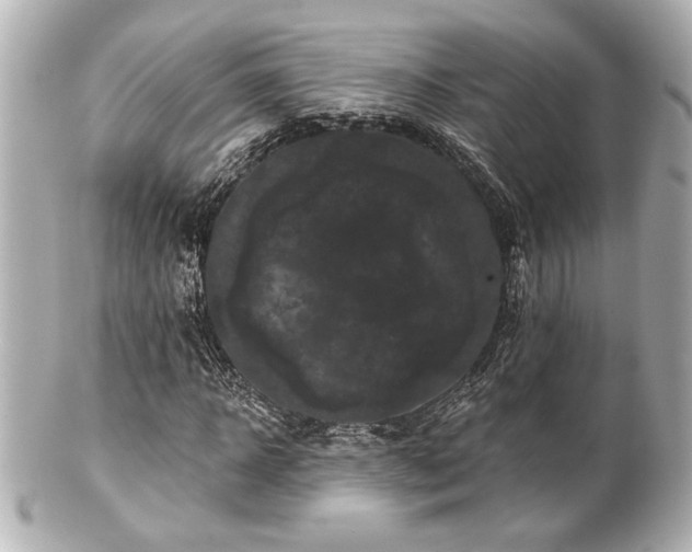 X0000100890918200807011153