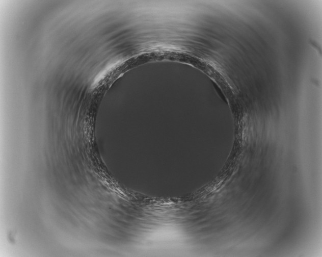 X0000100890919200807011153