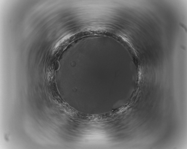 X0000100890920200807011153