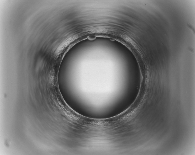 X0000100890922200807011153