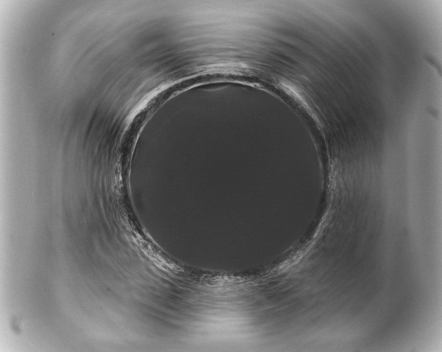X0000100890923200807011153
