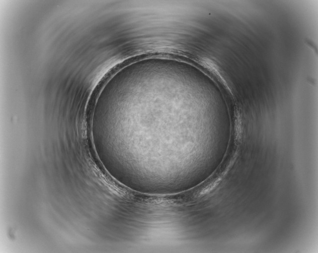 X0000100890924200807011153