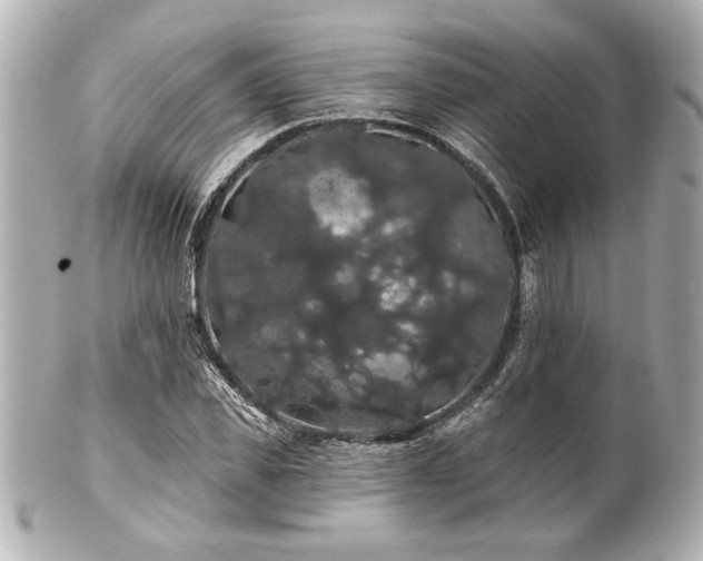 X0000100890925200807011153