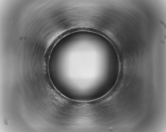 X0000100890926200807011153