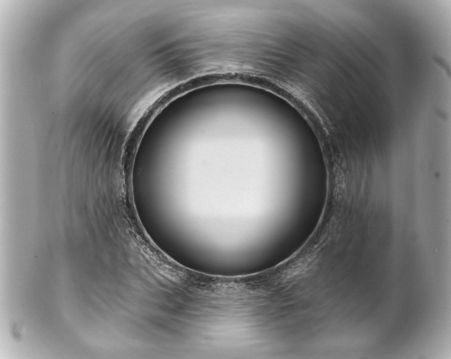 X0000100890927200807011153