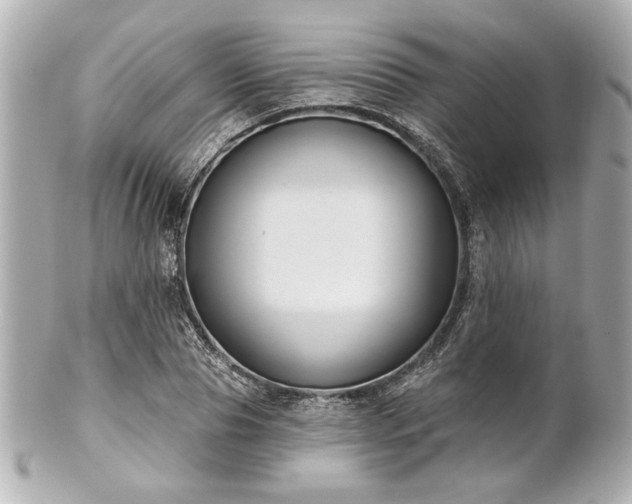 X0000100890929200807011153