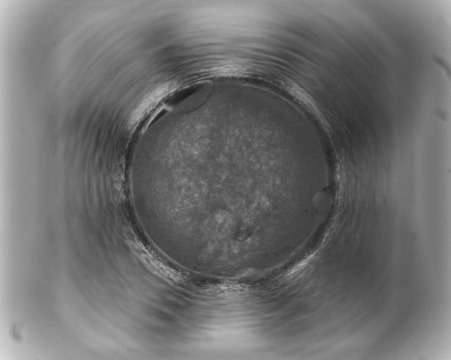 X0000100890930200807011153