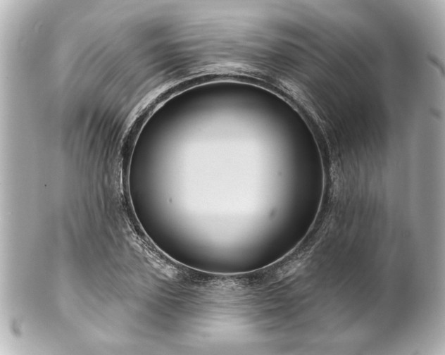 X0000100890931200807011153