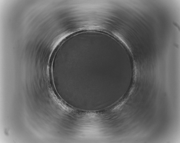 X0000100890932200807011153
