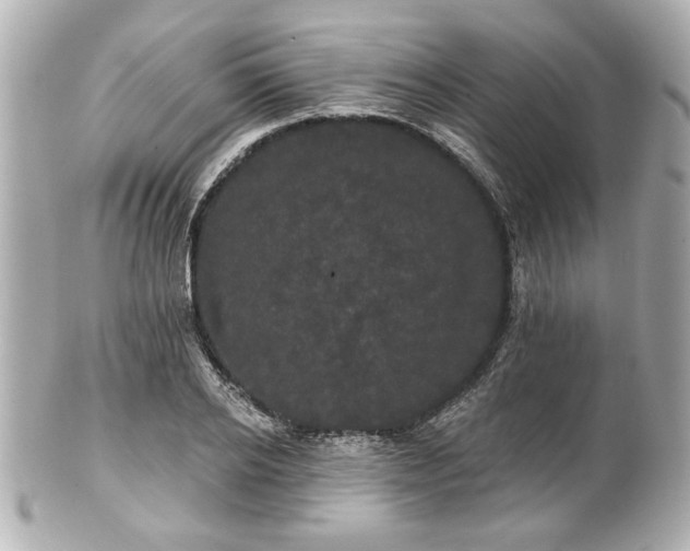 X0000100890934200807011153