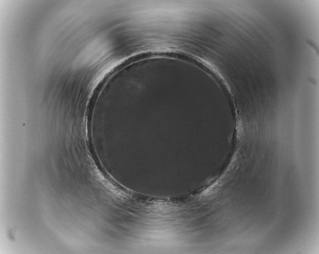 X0000100890935200807011153