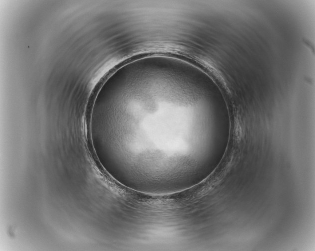 X0000100890936200807011153